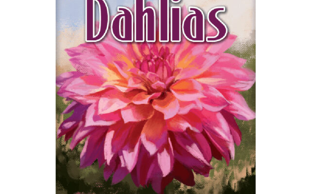 Bohnanza: Dahlias